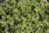 Peridot in Basalt - Arizona #324704-1